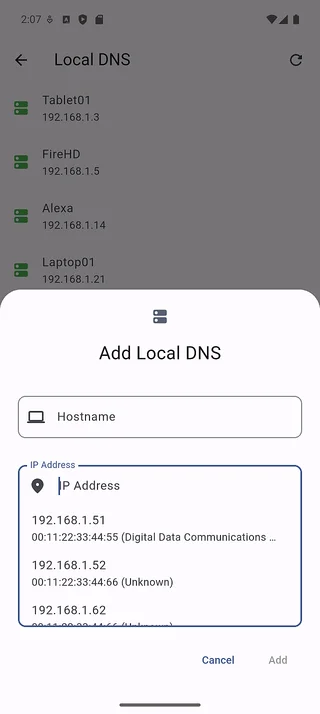 Add local DNS