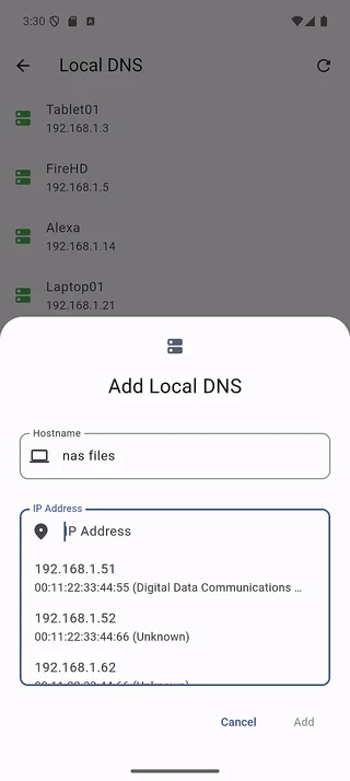Add local DNS