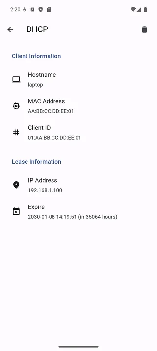 DHCP lease detail